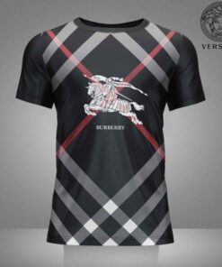 Hot Brand Luxury T-Shirts HD1916