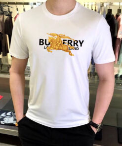 Hot Brand Luxury T-Shirts HD1943