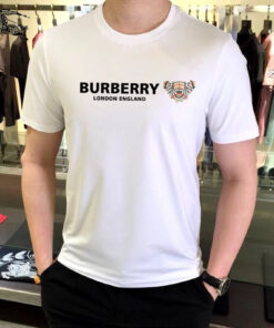 Hot Brand Luxury T-Shirts HD1944