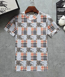 Hot Brand Luxury T-Shirts HD2029