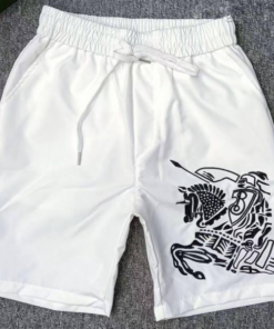 Hot Brand Luxury Shorts HD2165