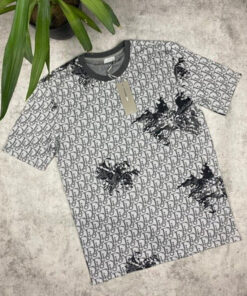 Hot Brand D Luxury T-Shirts For Men HD2319