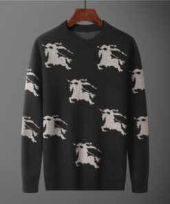 Luxury Brand Sweater PEA33313