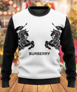 Luxury Brand Sweater  PEA34119