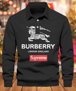 Hot Brand Luxury Polo Sweatshirt HD4019